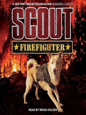 cover image of Firefighter